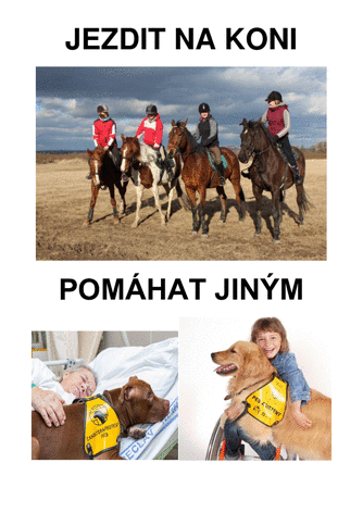 JEZDIT NA KONI