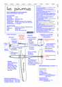 RC airplane plan La Piuma